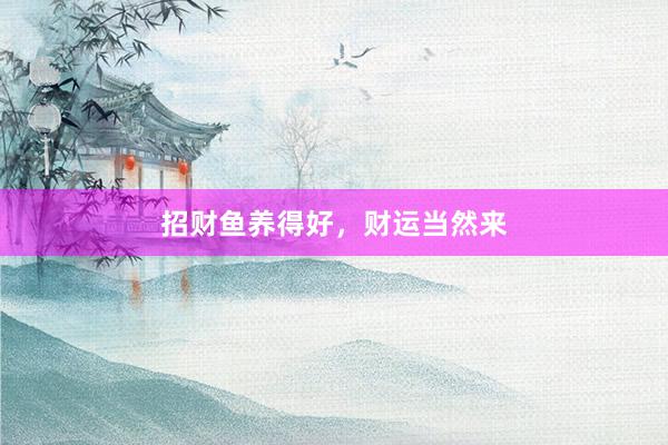 招财鱼养得好，财运当然来